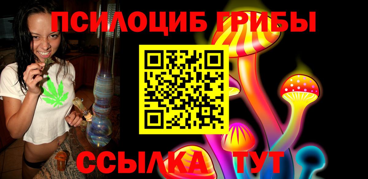 Псилоцибиновые грибы прущие грибы  Вход с VPN  Рославль 